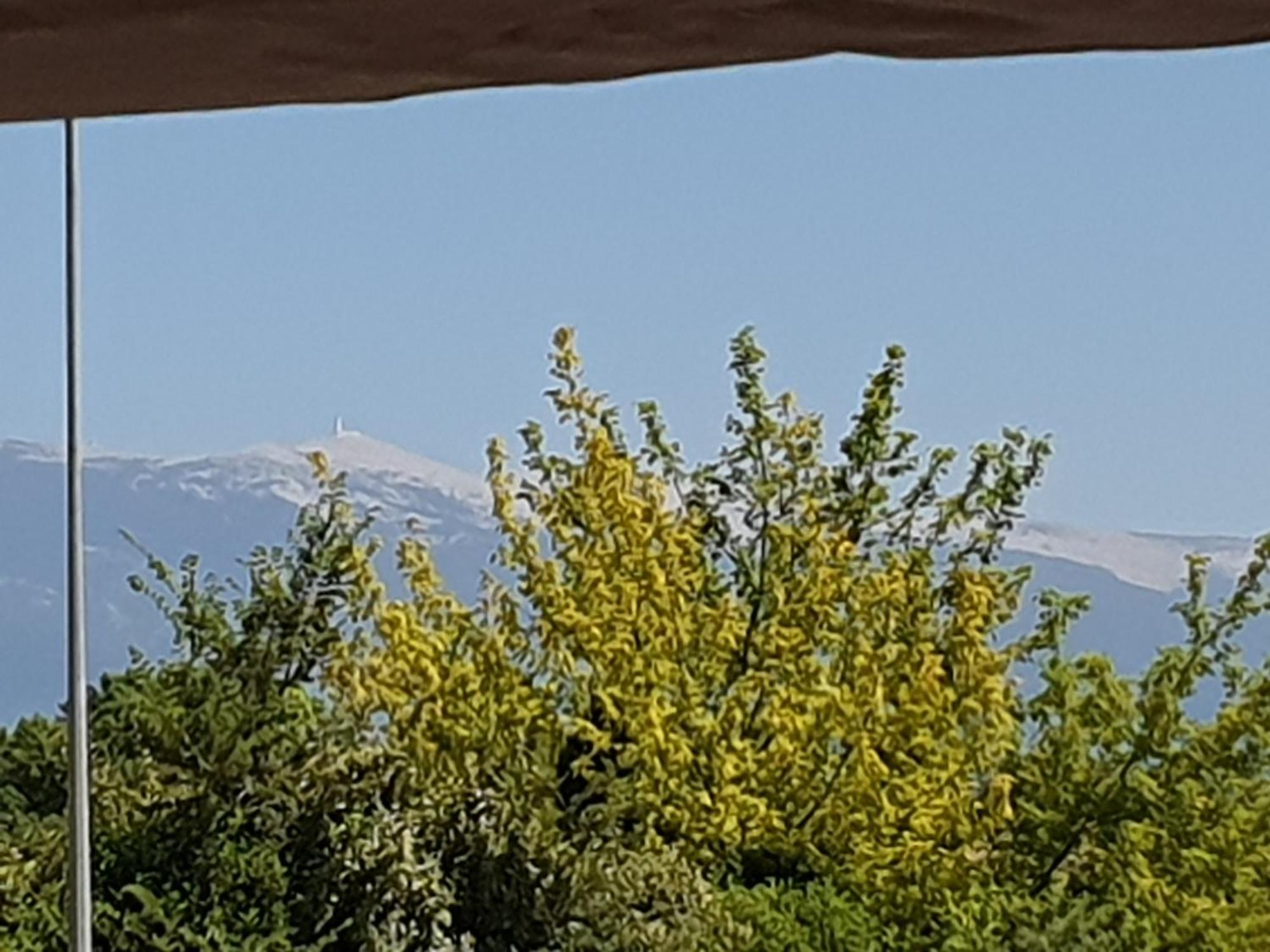 فندق Pura Vida مازان المظهر الخارجي الصورة